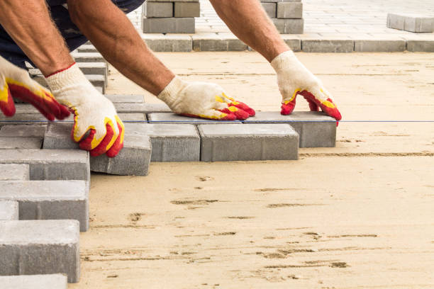 Best Custom Driveway Pavers  in Chinook, MT